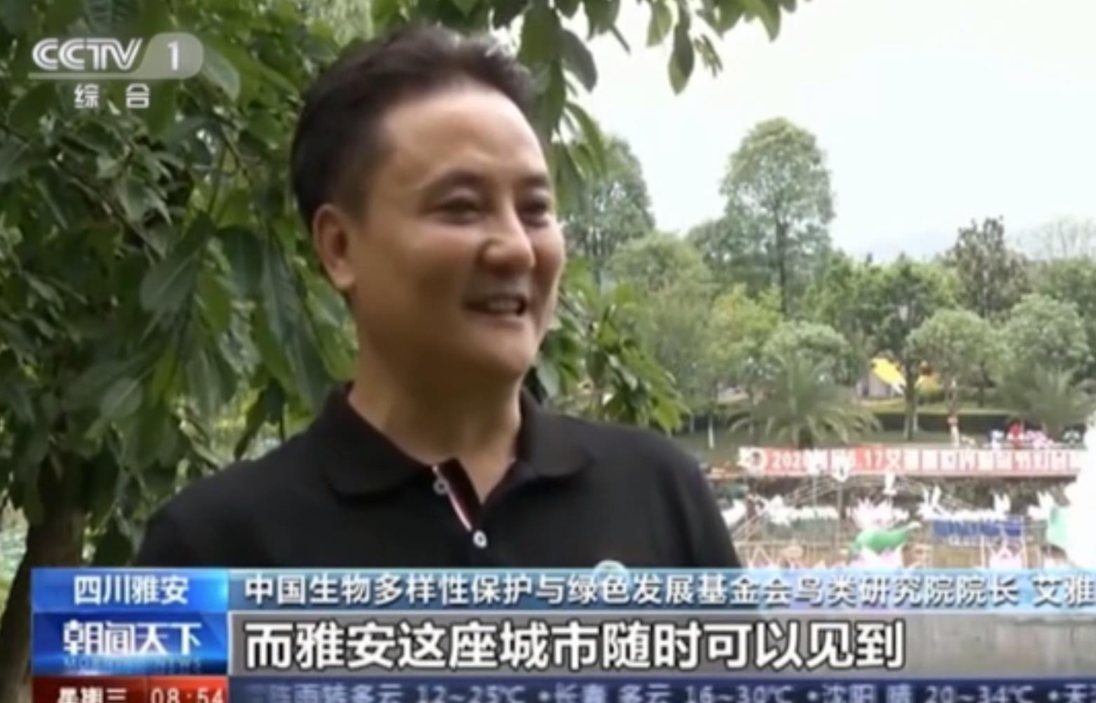 CCTV新闻报道