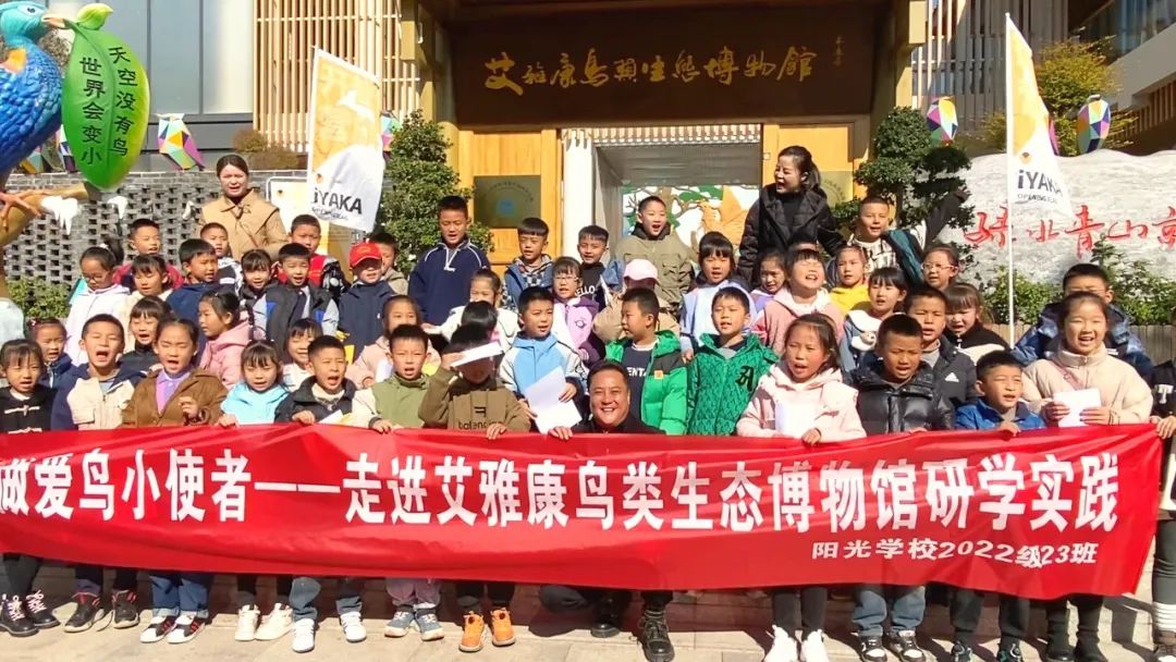 拥抱晨光的鸟儿
