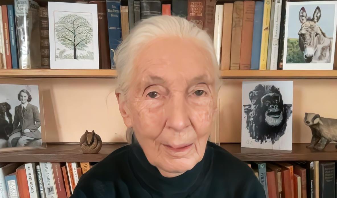 世界著名灵长类动物学家、生物学家珍·古道尔（Jane Goodall）博士致辞5·22国际生物多样性日