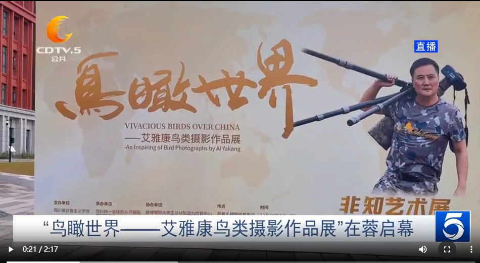 成都全接触 | “鸟瞰世界——艾雅康鸟类摄影作品展”在蓉启幕