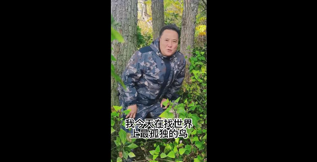 摄影记录