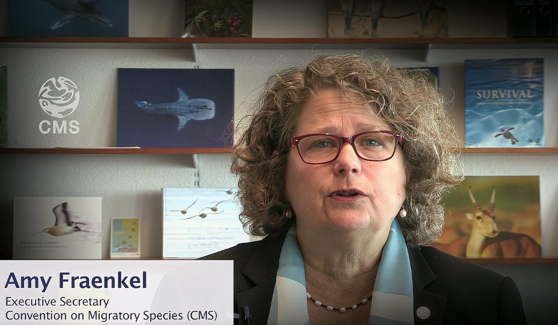 CMS执行秘书长Amy Fraenke女士 致辞5·22国际生物多样性日