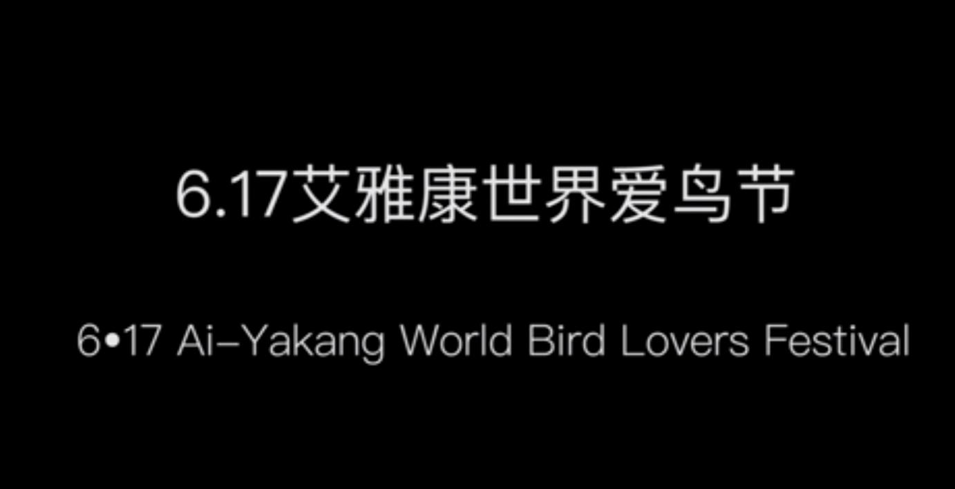 6.17 艾雅康世界爱鸟节