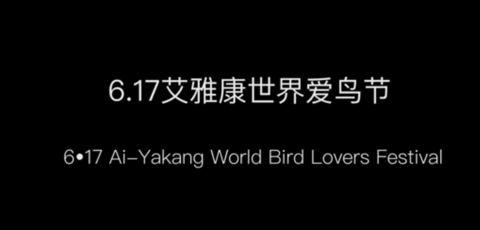 6.17 艾雅康世界爱鸟节